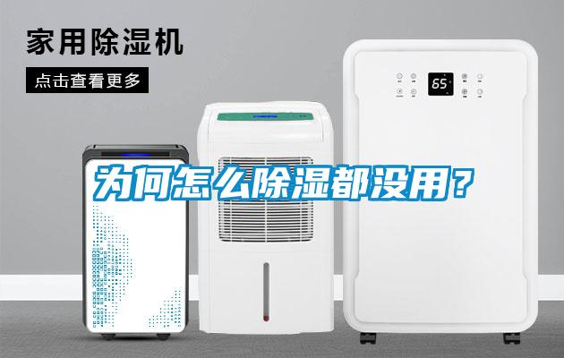 為何怎么除濕都沒用？