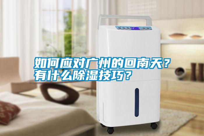 如何應(yīng)對廣州的回南天？有什么除濕技巧？