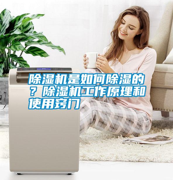 除濕機是如何除濕的？除濕機工作原理和使用竅門