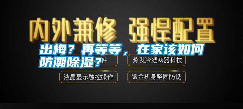 出梅？再等等，在家該如何防潮除濕？