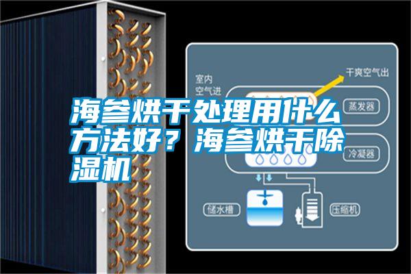 海參烘干處理用什么方法好？海參烘干除濕機