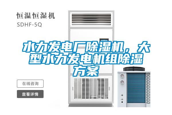 水力發(fā)電廠除濕機(jī)，大型水力發(fā)電機(jī)組除濕方案