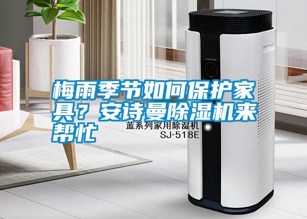 梅雨季節(jié)如何保護(hù)家具？安詩曼除濕機(jī)來幫忙