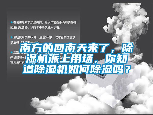 南方的回南天來了，除濕機派上用場，你知道除濕機如何除濕嗎？