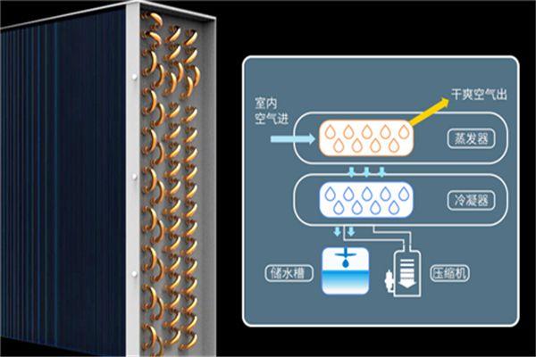 新風(fēng)除濕機(jī)為什么越來(lái)受歡迎呢