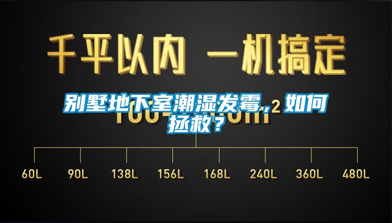 別墅地下室潮濕發(fā)霉，如何拯救？