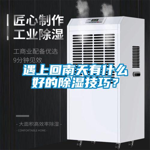 遇上回南天有什么好的除濕技巧？