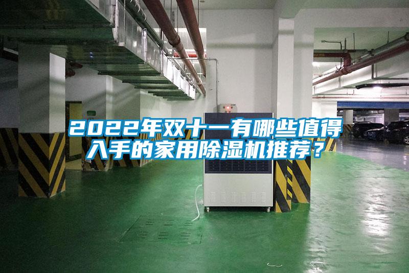 2022年雙十一有哪些值得入手的家用除濕機(jī)推薦？