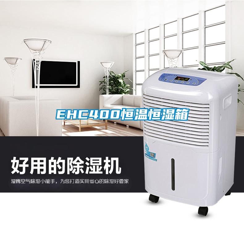 EHC400恒溫恒濕箱