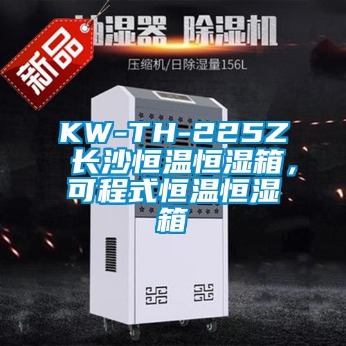 KW-TH-225Z 長(zhǎng)沙恒溫恒濕箱，可程式恒溫恒濕箱