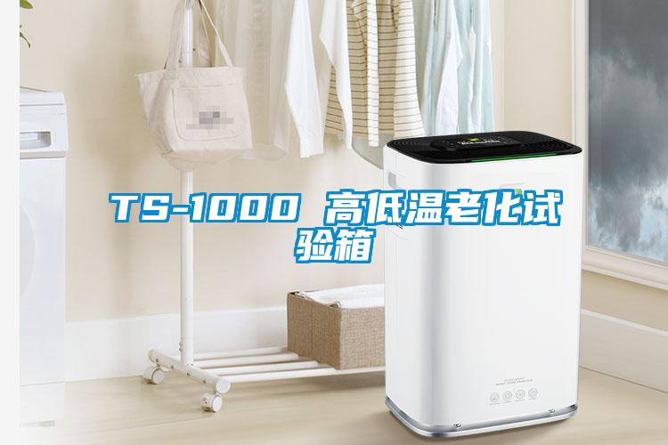 TS-1000 高低溫老化試驗(yàn)箱