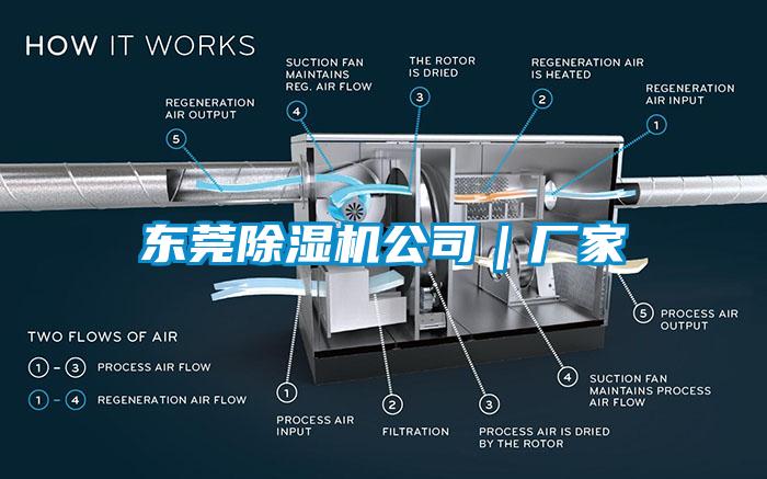 東莞除濕機(jī)公司｜廠家