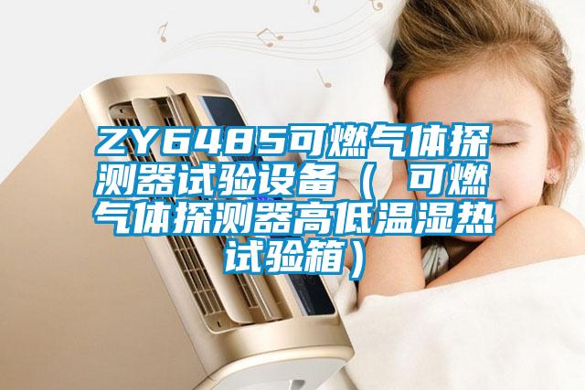 ZY6485可燃?xì)怏w探測器試驗(yàn)設(shè)備（ 可燃?xì)怏w探測器高低溫濕熱試驗(yàn)箱）