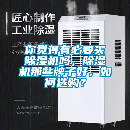 你覺得有必要買除濕機嗎，除濕機那些牌子好，如何選購？