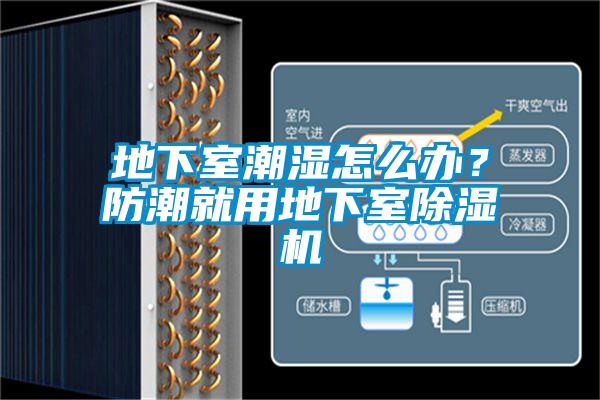 地下室潮濕怎么辦？防潮就用地下室除濕機