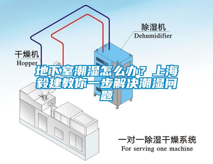 地下室潮濕怎么辦？上海毅建教你一步解決潮濕問題