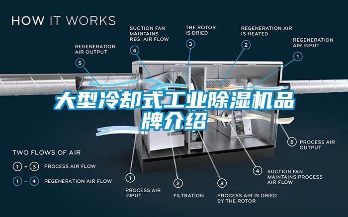 大型冷卻式工業(yè)除濕機(jī)品牌介紹