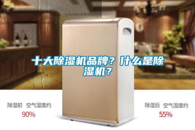 十大除濕機品牌？什么是除濕機？