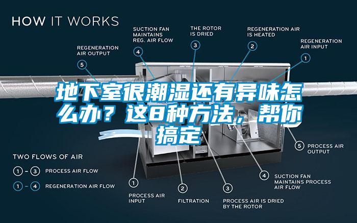 地下室很潮濕還有異味怎么辦？這8種方法，幫你搞定