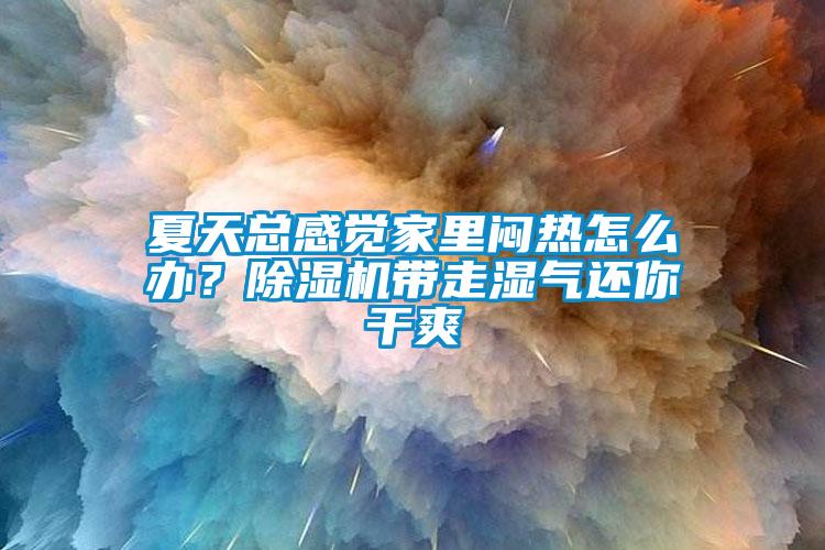 夏天總感覺家里悶熱怎么辦？除濕機帶走濕氣還你干爽