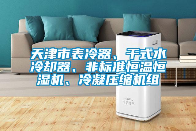 天津市表冷器、干式水冷卻器、非標準恒溫恒濕機、冷凝壓縮機組