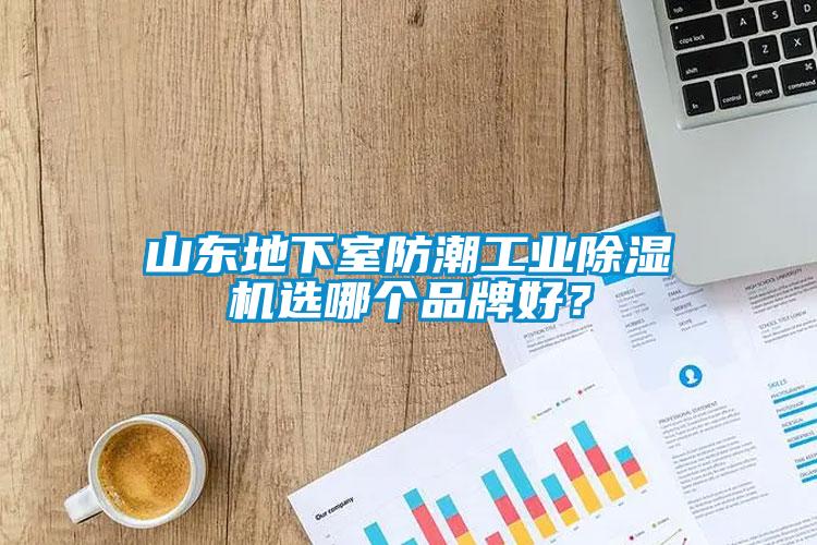 山東地下室防潮工業(yè)除濕機(jī)選哪個(gè)品牌好？