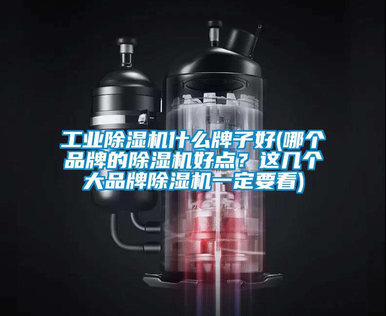 工業(yè)除濕機什么牌子好(哪個品牌的除濕機好點？這幾個大品牌除濕機一定要看)