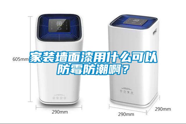 家裝墻面漆用什么可以防霉防潮?。?></div>
								<div   id=