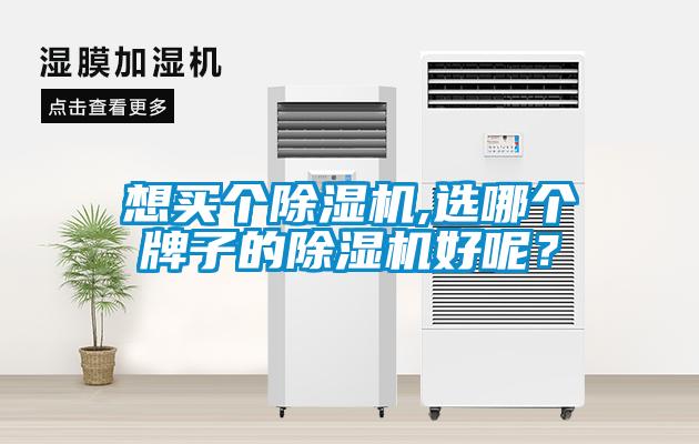 想買(mǎi)個(gè)除濕機(jī),選哪個(gè)牌子的除濕機(jī)好呢？