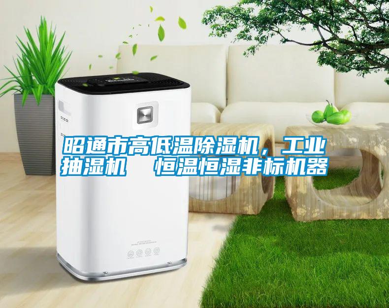 昭通市高低溫除濕機，工業(yè)抽濕機  恒溫恒濕非標(biāo)機器