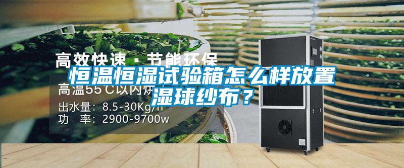 恒溫恒濕試驗箱怎么樣放置濕球紗布？