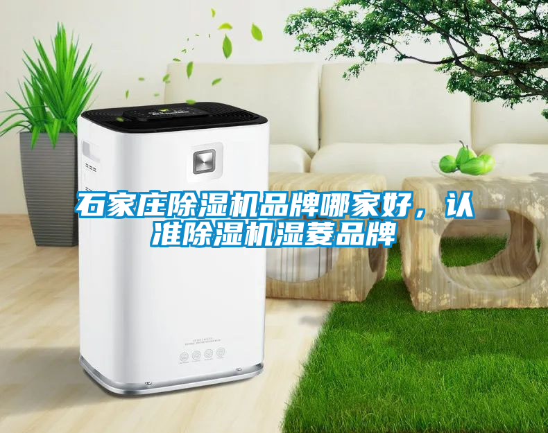 石家莊除濕機品牌哪家好，認準除濕機濕菱品牌