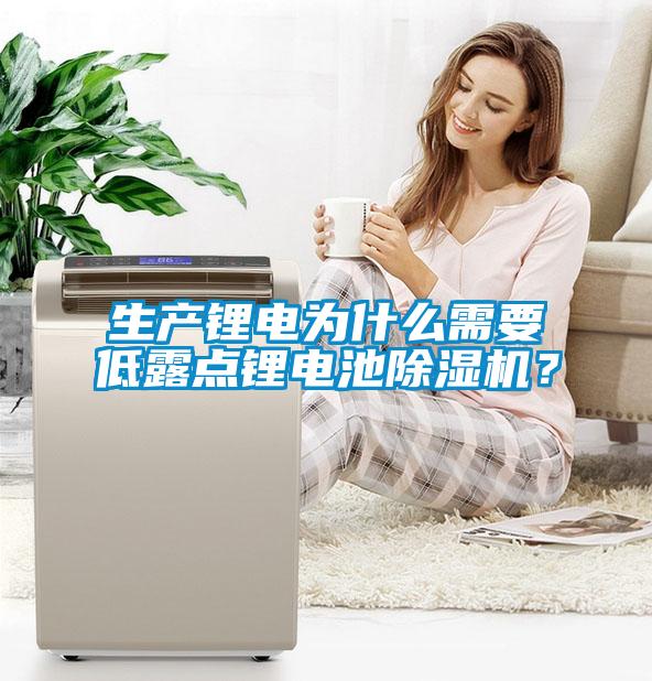 生產(chǎn)鋰電為什么需要低露點鋰電池除濕機？