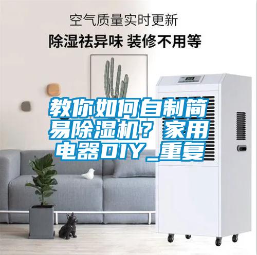 教你如何自制簡易除濕機？家用電器DIY_重復(fù)