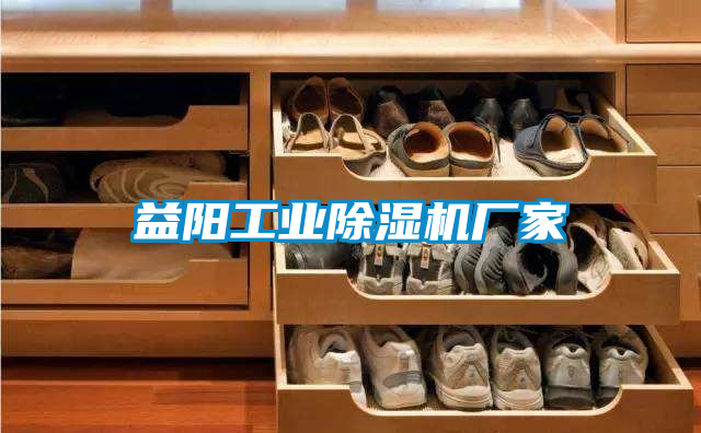 益陽工業(yè)除濕機廠家