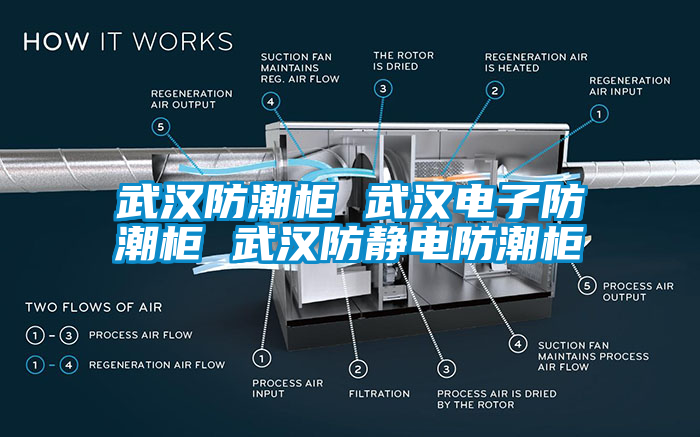 武漢防潮柜 武漢電子防潮柜 武漢防靜電防潮柜