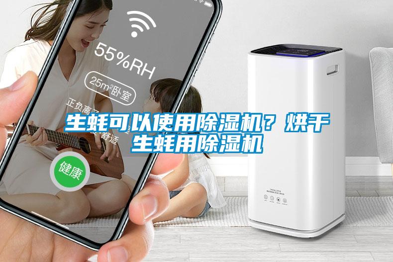 生蠔可以使用除濕機(jī)？烘干生蠔用除濕機(jī)