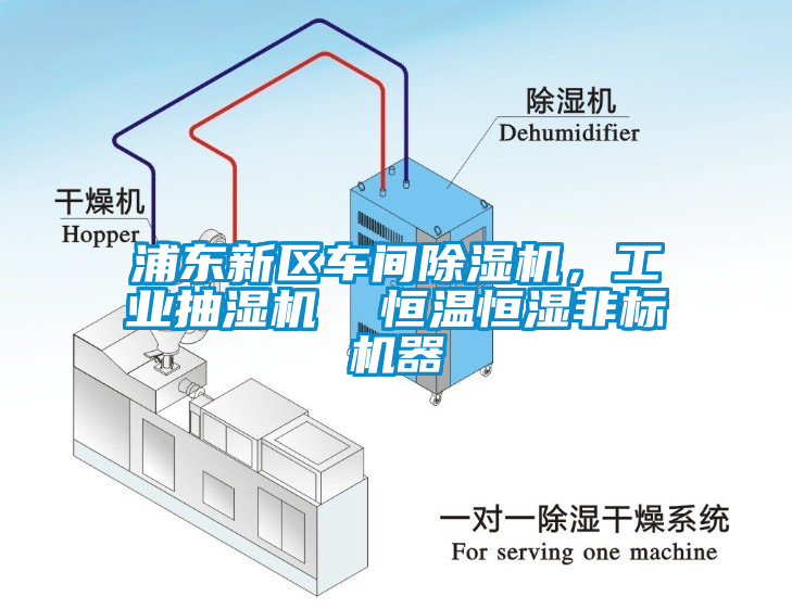 浦東新區(qū)車間除濕機(jī)，工業(yè)抽濕機(jī)  恒溫恒濕非標(biāo)機(jī)器