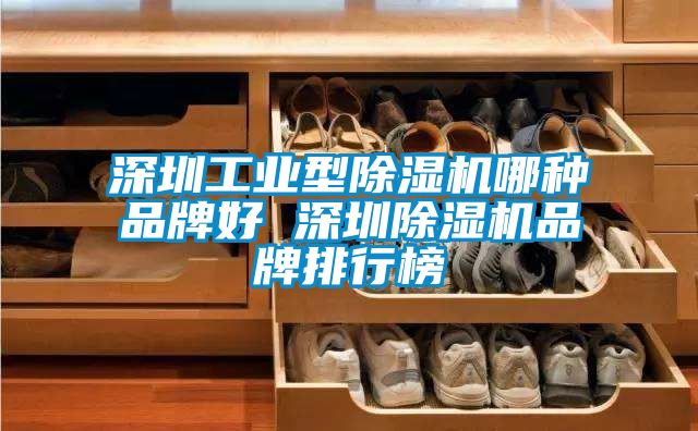 深圳工業(yè)型除濕機(jī)哪種品牌好 深圳除濕機(jī)品牌排行榜