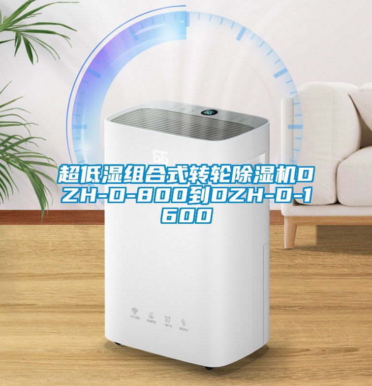 超低濕組合式轉(zhuǎn)輪除濕機(jī)DZH-D-800到DZH-D-1600