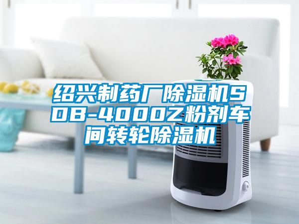 紹興制藥廠除濕機(jī)SDB-4000Z粉劑車間轉(zhuǎn)輪除濕機(jī)