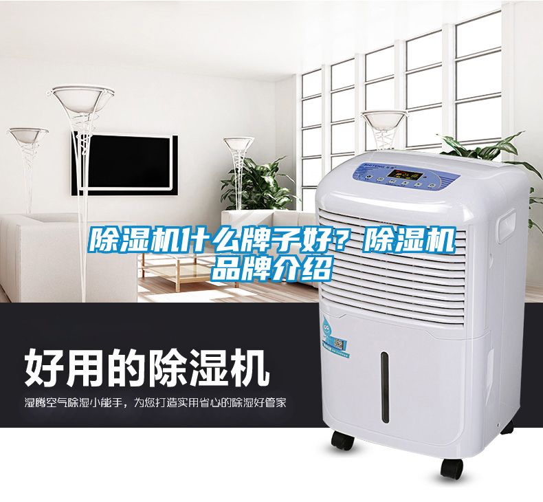 除濕機什么牌子好？除濕機品牌介紹