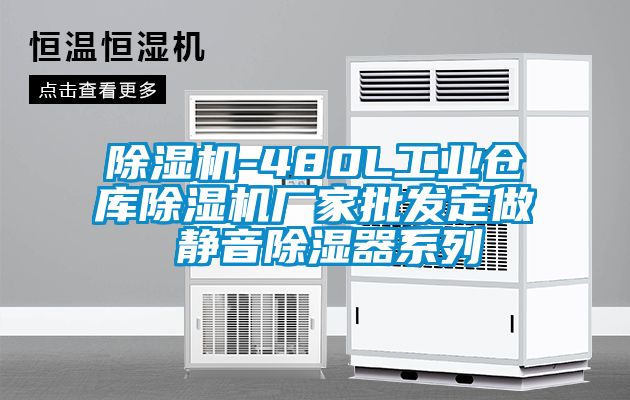 除濕機-480L工業(yè)倉庫除濕機廠家批發(fā)定做 靜音除濕器系列