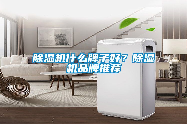 除濕機什么牌子好？除濕機品牌推薦