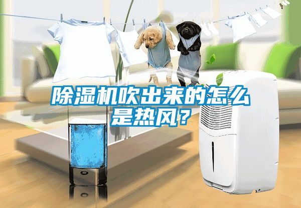 除濕機(jī)吹出來(lái)的怎么是熱風(fēng)？