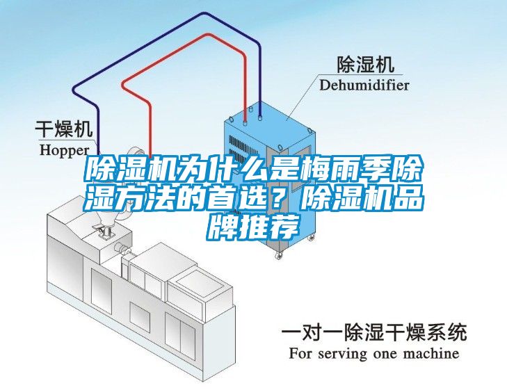 除濕機(jī)為什么是梅雨季除濕方法的首選？除濕機(jī)品牌推薦