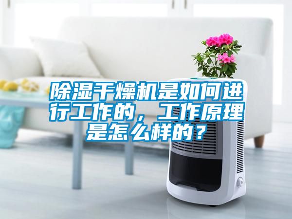 除濕干燥機是如何進行工作的，工作原理是怎么樣的？