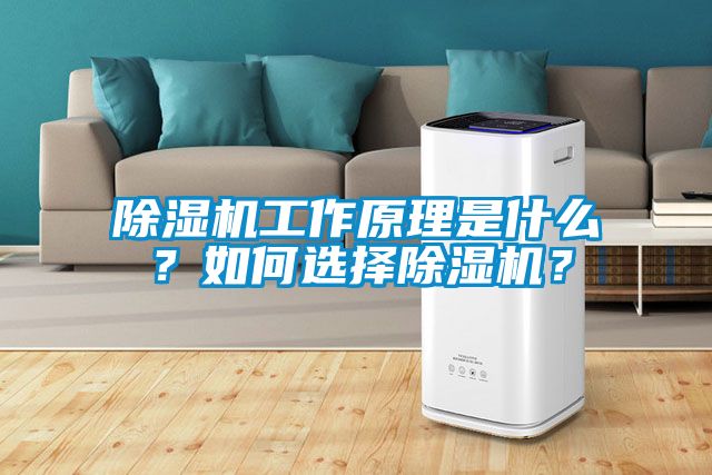 除濕機(jī)工作原理是什么？如何選擇除濕機(jī)？