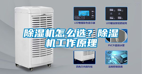 除濕機(jī)怎么選？除濕機(jī)工作原理