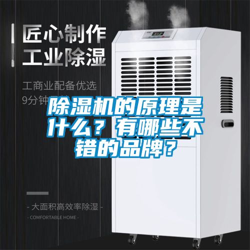 除濕機(jī)的原理是什么？有哪些不錯(cuò)的品牌？